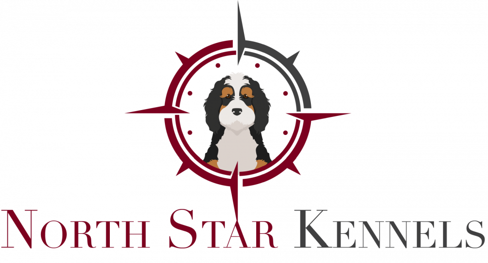 cropped-North-Star-Kennels-Logo-1.png